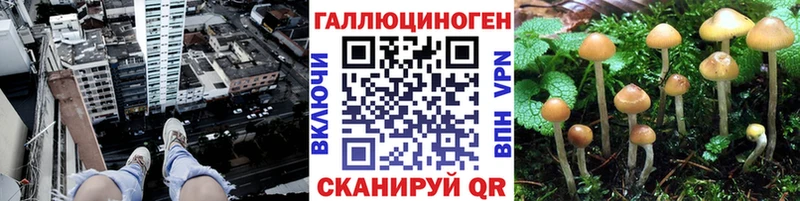 Галлюциногенные грибы Psilocybe  блэк спрут ONION  Кола 